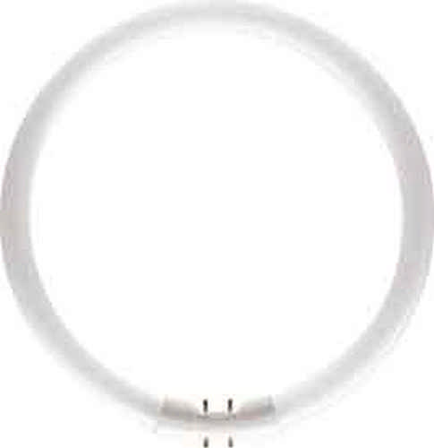 Philips Actinic BL TL-E 22 Watt 10 UVA Ringröhre G10q